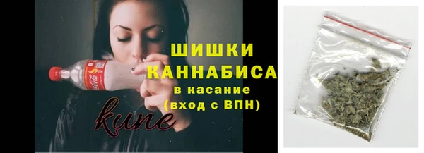 хмурый Дмитров
