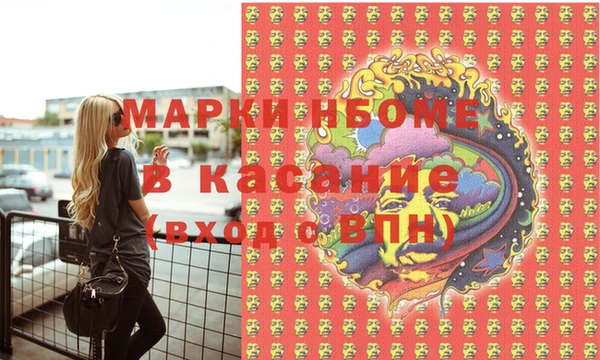 хмурый Дмитров
