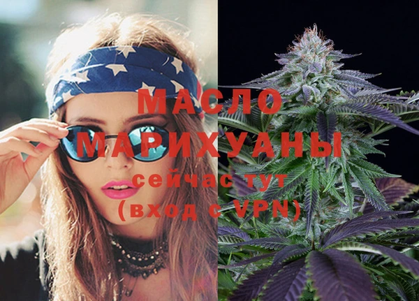 хмурый Дмитров