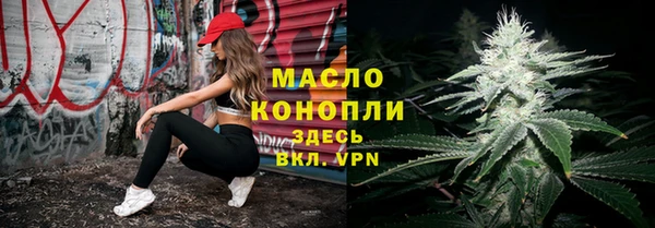 хмурый Дмитров