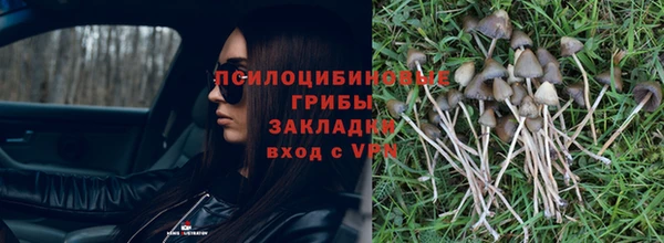 хмурый Дмитров