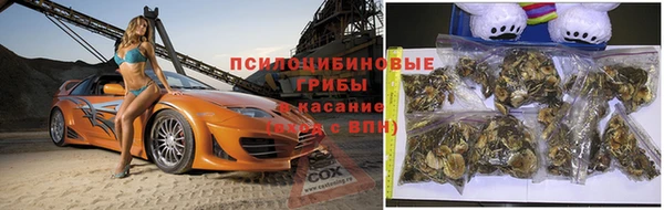 хмурый Дмитров
