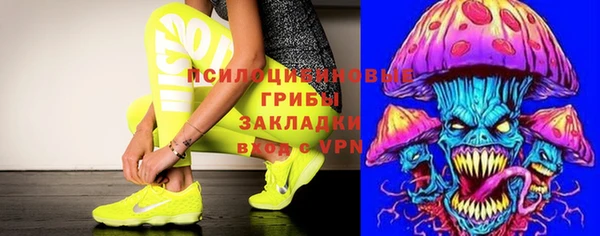хмурый Дмитров